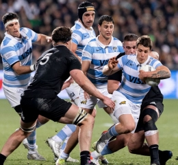 Los Pumas - All Blacks